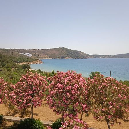 Skoutari Beach Hotel Екстер'єр фото